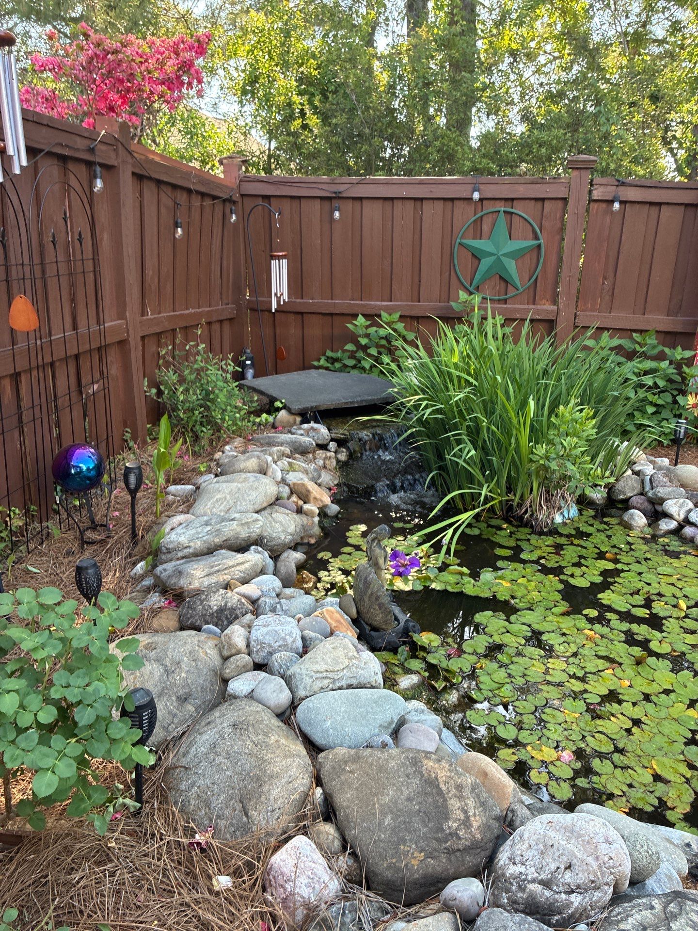 Garden pond with stones, water plants, and a small waterfall